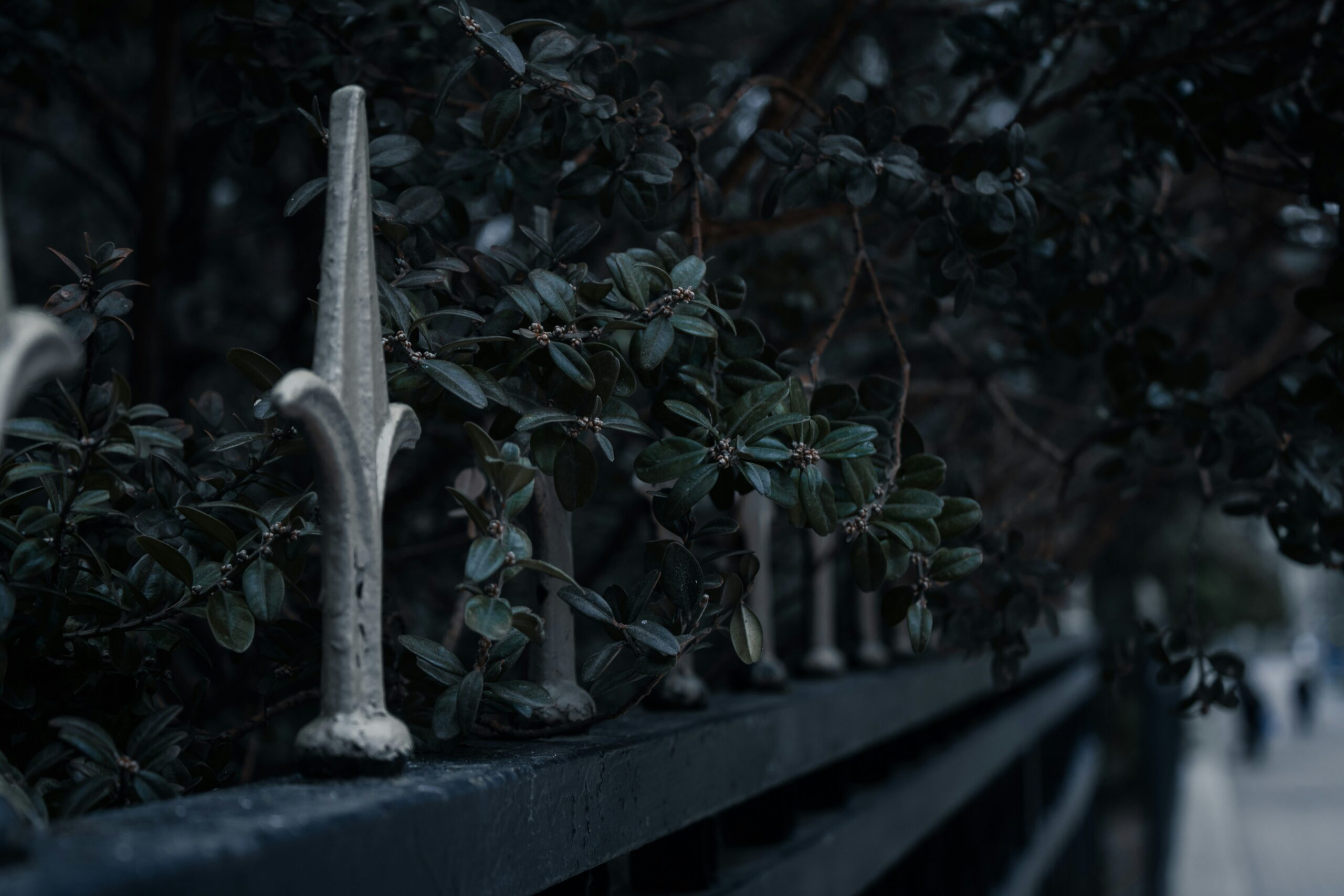 The Ethics of Memory and Violence in Assassin’s Creed