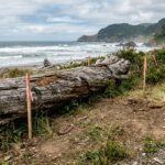 Overcoming Log Obstacles in Alaska Cabin Construction
