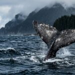 Administrative Changes, Environmental Advocacy, and Community Triumphs Mark Latest Alaska News