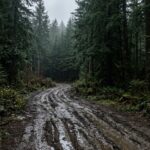Juneau Unveils Major Community Updates: Safety, Recreation, and Housing in Focus